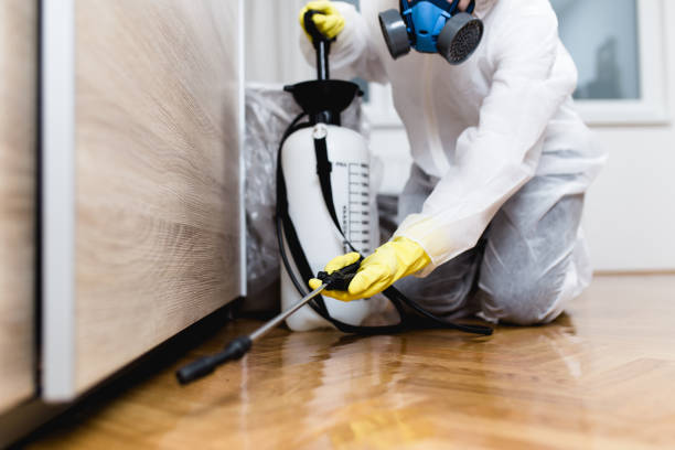 Best Best Pest Control Companies  in Snyderville, UT